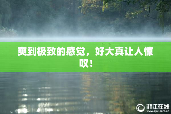 爽到极致的感觉，好大真让人惊叹！