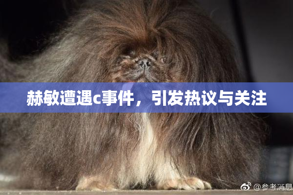 赫敏遭遇c事件，引发热议与关注