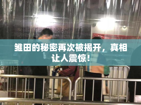 雏田的秘密再次被揭开，真相让人震惊！