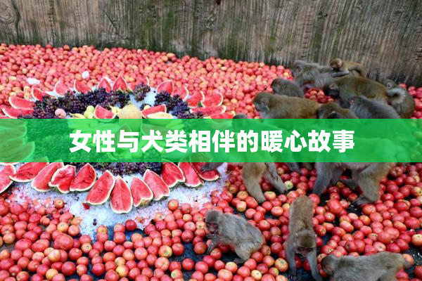 女性与犬类相伴的暖心故事