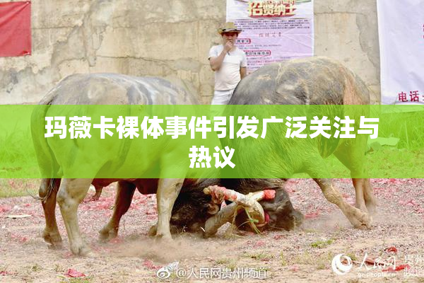玛薇卡裸体事件引发广泛关注与热议