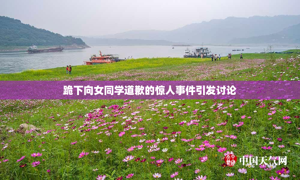 跪下向女同学道歉的惊人事件引发讨论