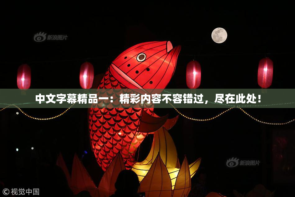 中文字幕精品一：精彩内容不容错过，尽在此处！