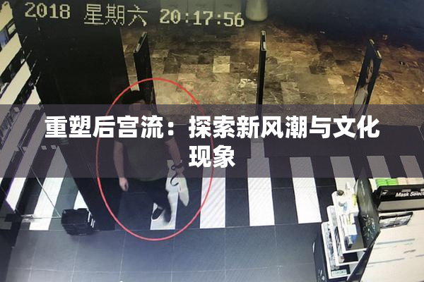 重塑后宫流：探索新风潮与文化现象