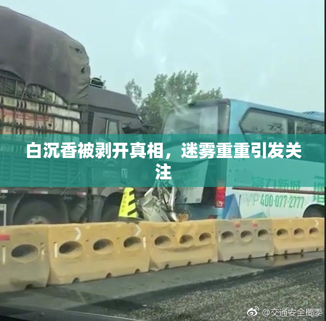 白沉香被剥开真相，迷雾重重引发关注