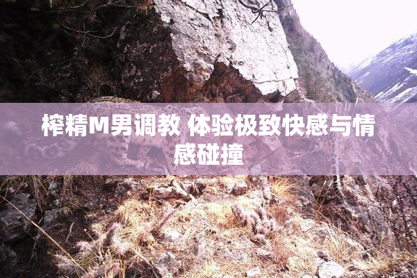 榨精M男调教 体验极致快感与情感碰撞