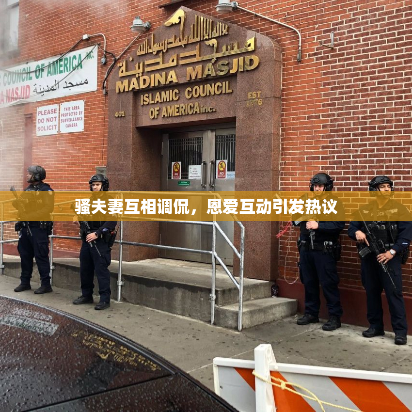 骚夫妻互相调侃，恩爱互动引发热议