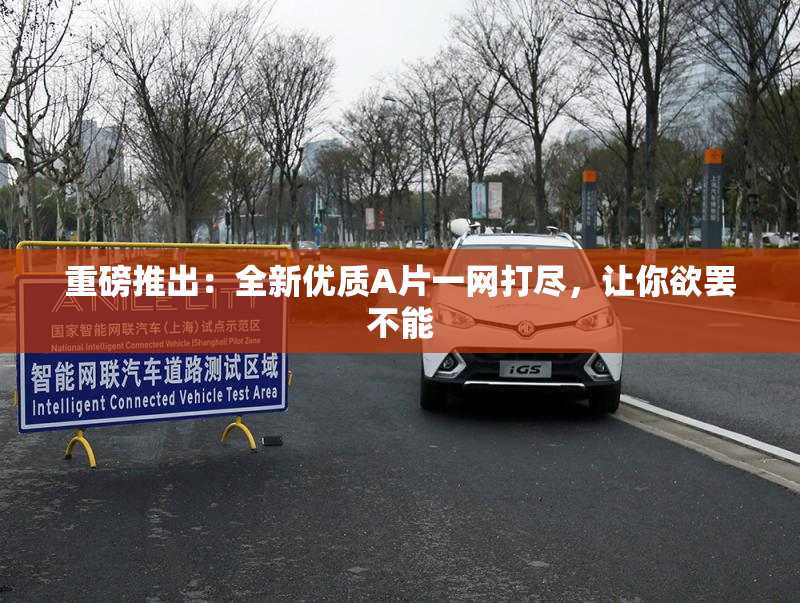 重磅推出：全新优质A片一网打尽，让你欲罢不能