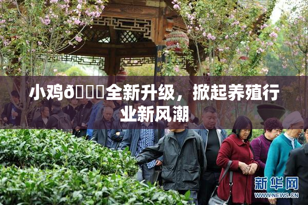 小鸡🐔全新升级，掀起养殖行业新风潮