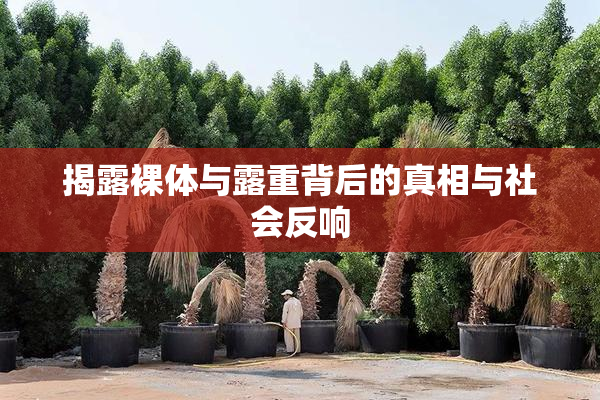 揭露裸体与露重背后的真相与社会反响