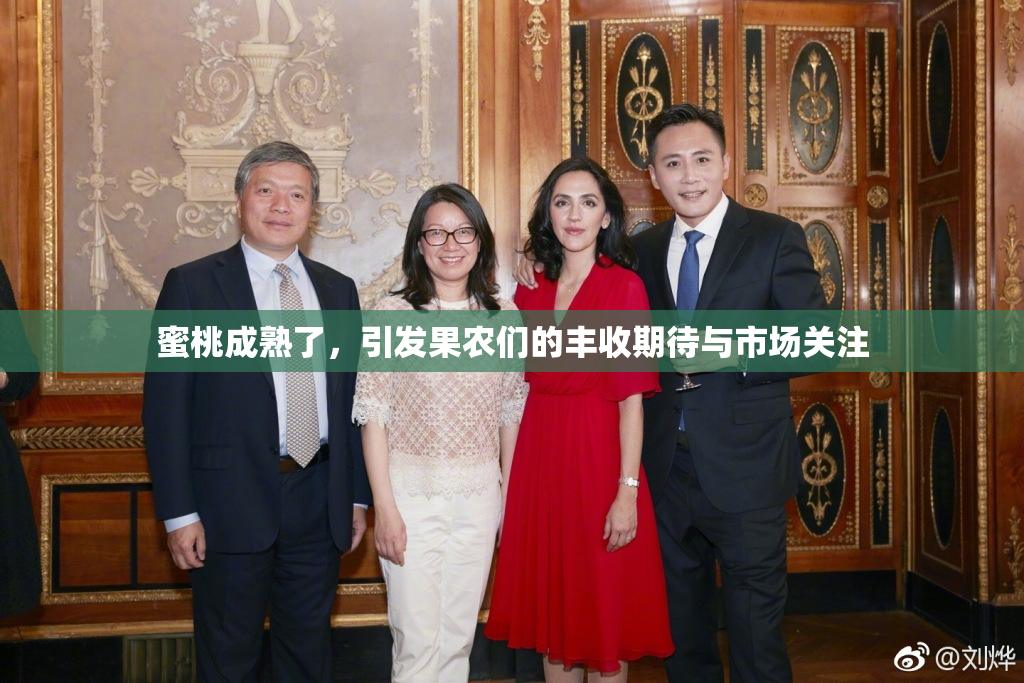 蜜桃成熟了，引发果农们的丰收期待与市场关注