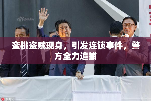 蜜桃盗贼现身，引发连锁事件，警方全力追捕