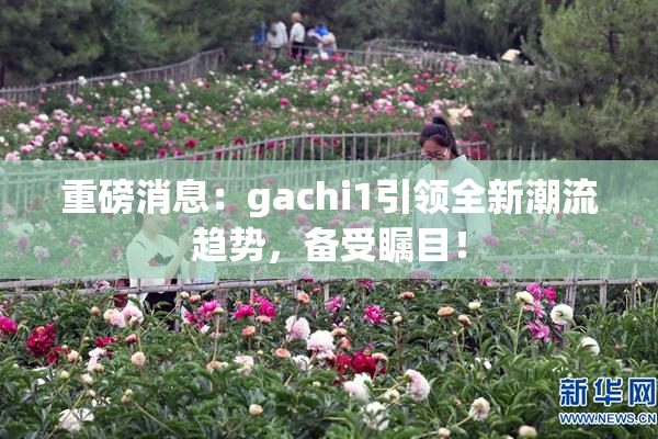重磅消息：gachi1引领全新潮流趋势，备受瞩目！