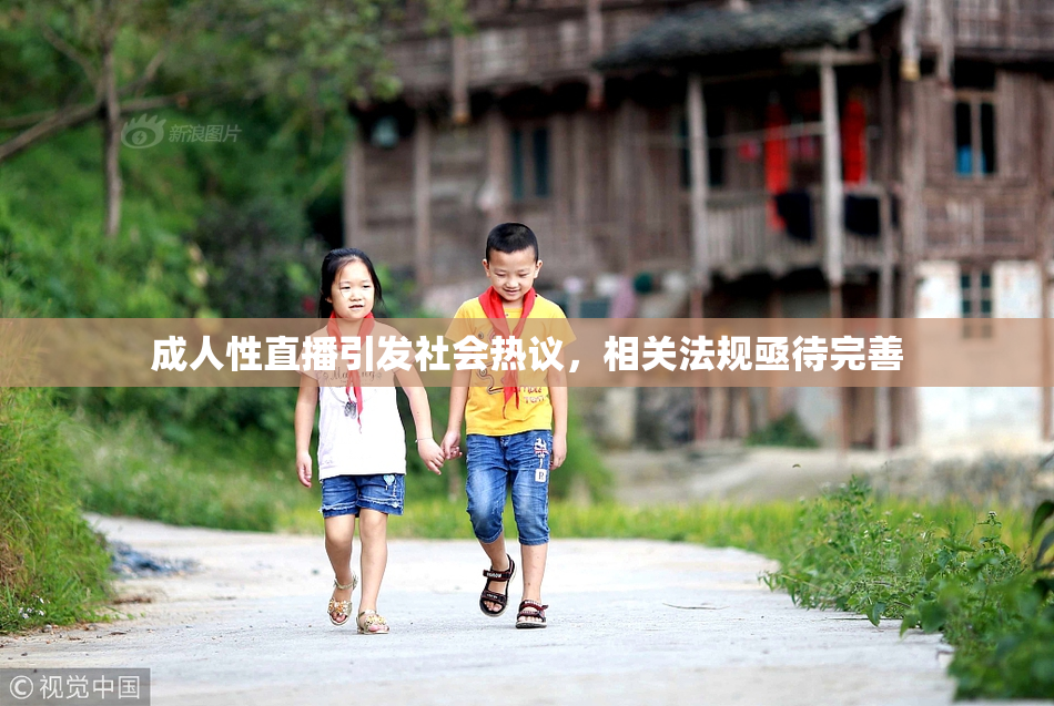 成人性直播引发社会热议，相关法规亟待完善