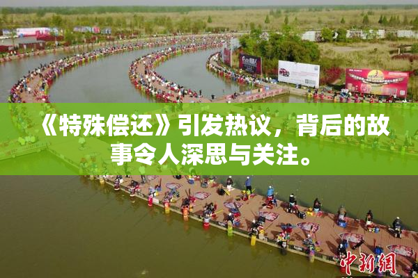 《特殊偿还》引发热议，背后的故事令人深思与关注。