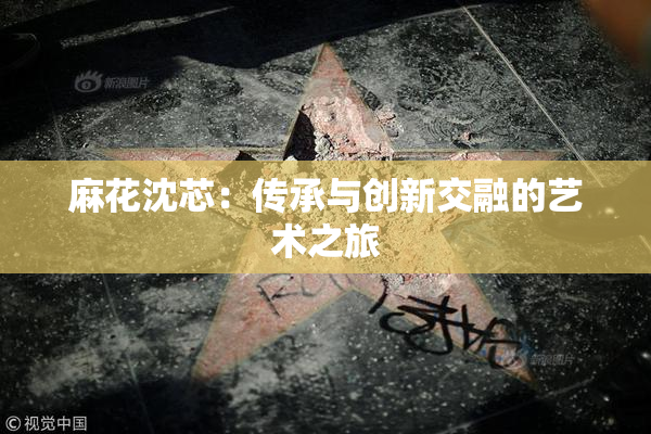 麻花沈芯：传承与创新交融的艺术之旅