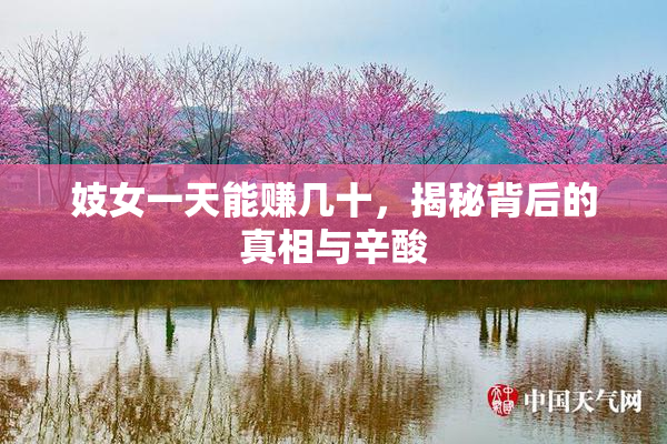 妓女一天能赚几十，揭秘背后的真相与辛酸