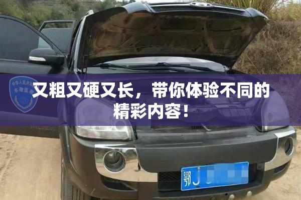 又粗又硬又长，带你体验不同的精彩内容！