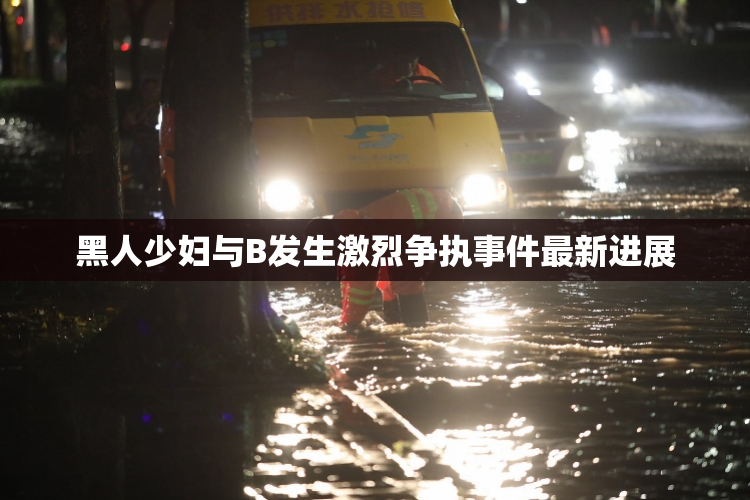 黑人少妇与B发生激烈争执事件最新进展