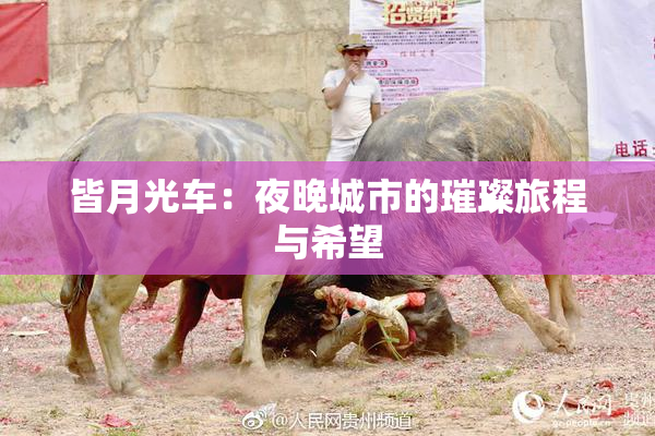 皆月光车：夜晚城市的璀璨旅程与希望