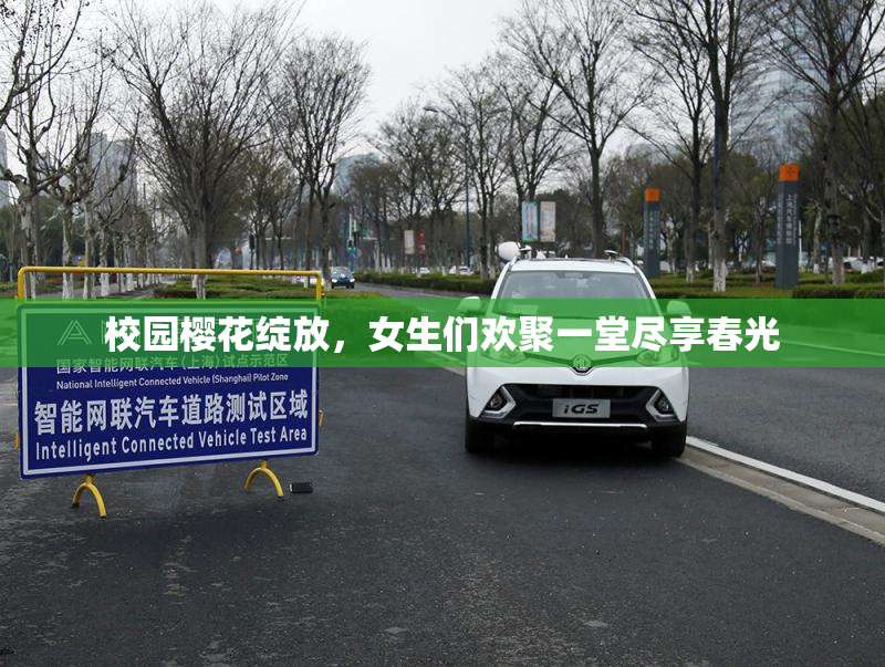 校园樱花绽放，女生们欢聚一堂尽享春光