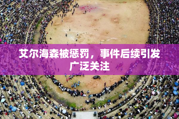 艾尔海森被惩罚，事件后续引发广泛关注