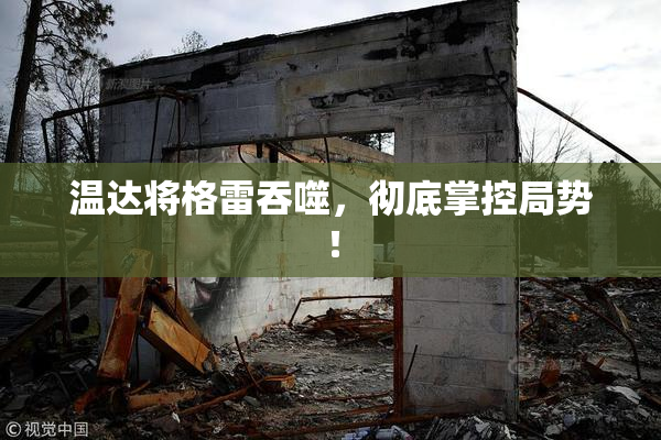 温达将格雷吞噬，彻底掌控局势！