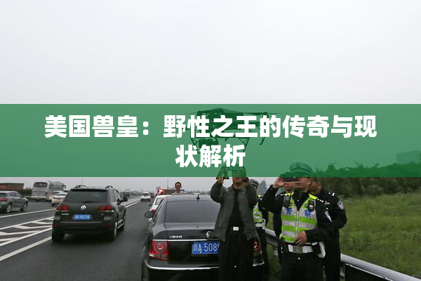 美国兽皇：野性之王的传奇与现状解析