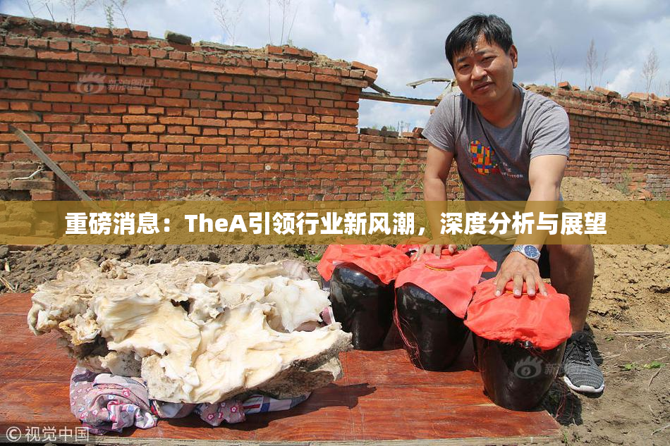 重磅消息：TheA引领行业新风潮，深度分析与展望