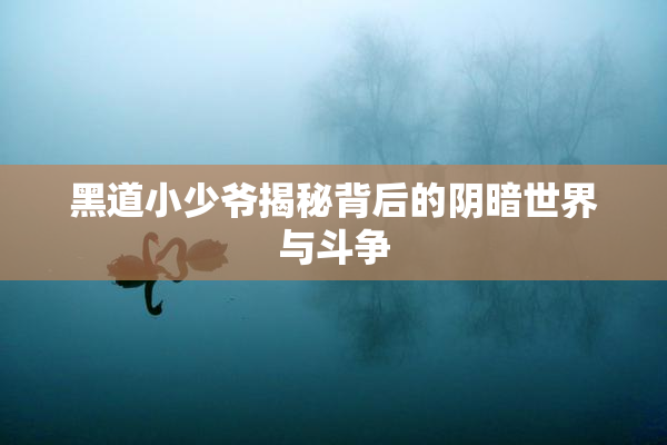 黑道小少爷揭秘背后的阴暗世界与斗争