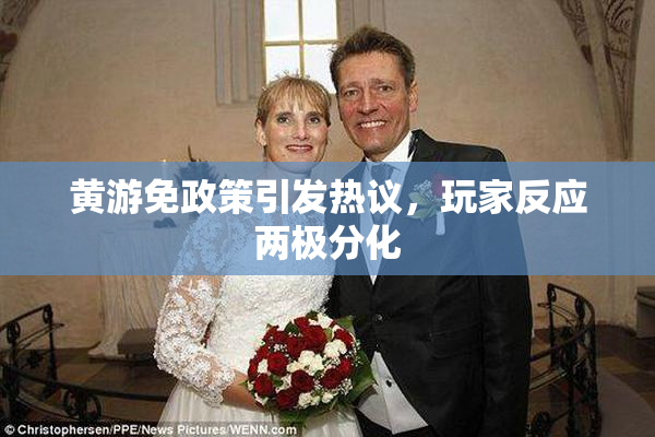 黄游免政策引发热议，玩家反应两极分化