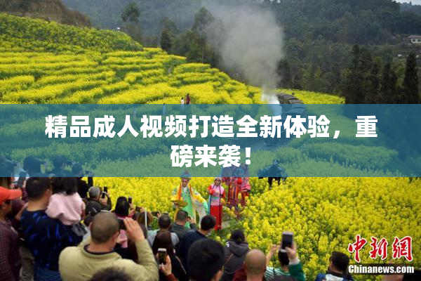 精品成人视频打造全新体验，重磅来袭！