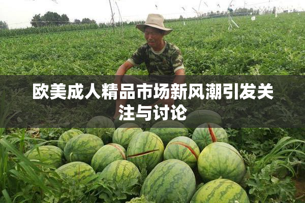 欧美成人精品市场新风潮引发关注与讨论