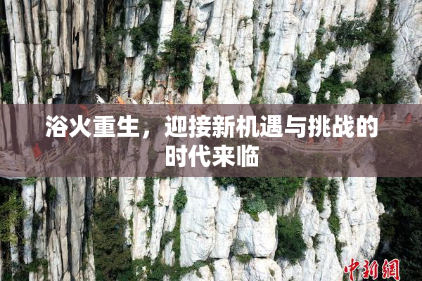 浴火重生，迎接新机遇与挑战的时代来临