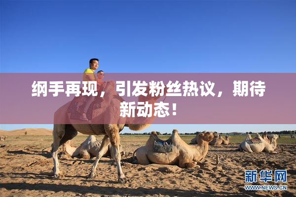 纲手再现，引发粉丝热议，期待新动态！