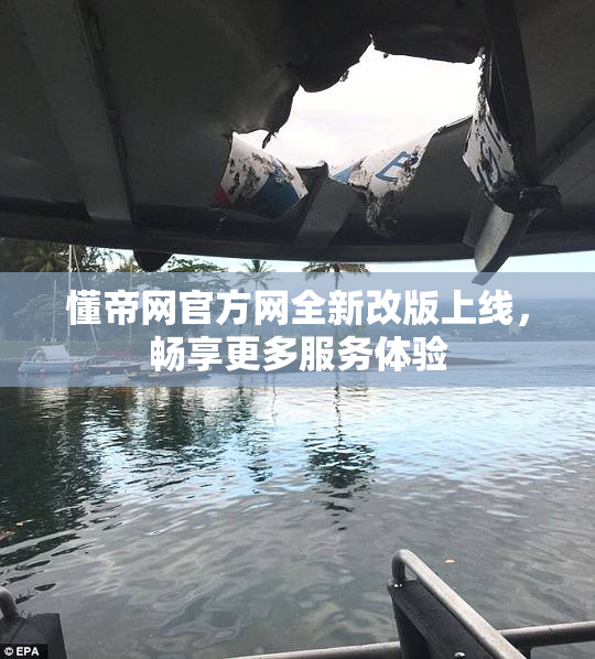 懂帝网官方网全新改版上线，畅享更多服务体验