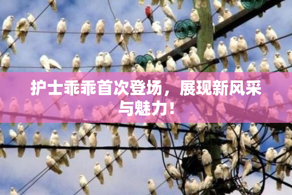 护士乖乖首次登场，展现新风采与魅力！