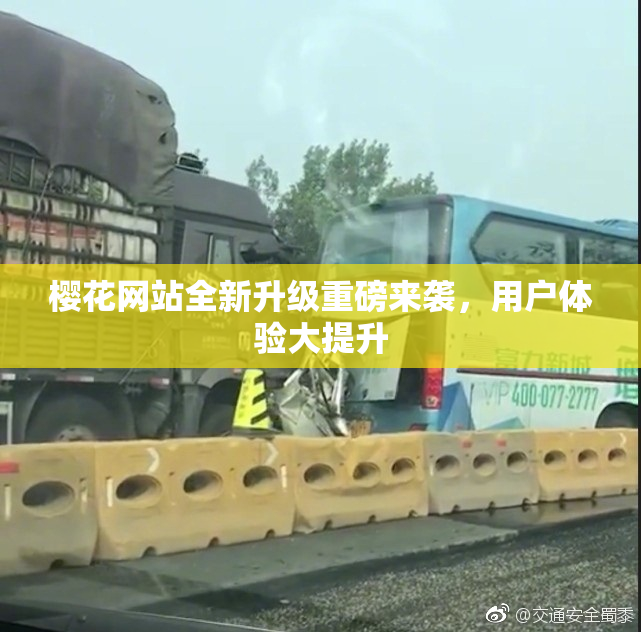 樱花网站全新升级重磅来袭，用户体验大提升