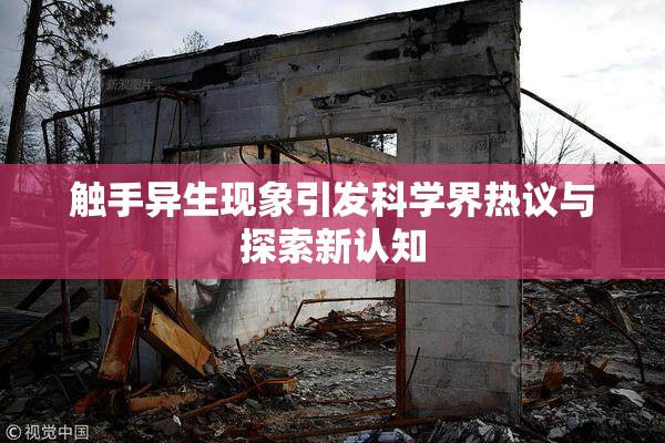 触手异生现象引发科学界热议与探索新认知