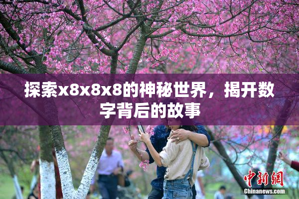 探索x8x8x8的神秘世界，揭开数字背后的故事