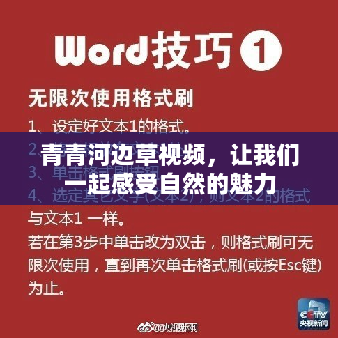 青青河边草视频，让我们一起感受自然的魅力