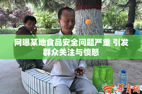 网曝某地食品安全问题严重 引发群众关注与愤怒