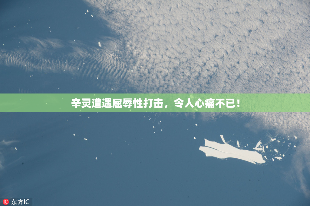 辛灵遭遇屈辱性打击，令人心痛不已！