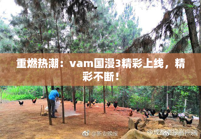 重燃热潮：vam国漫3精彩上线，精彩不断！