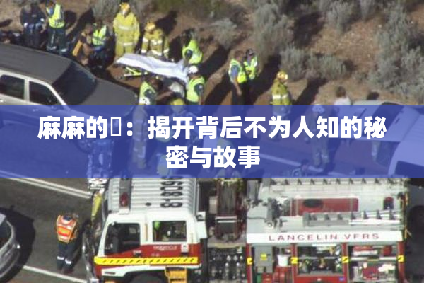麻麻的婬：揭开背后不为人知的秘密与故事