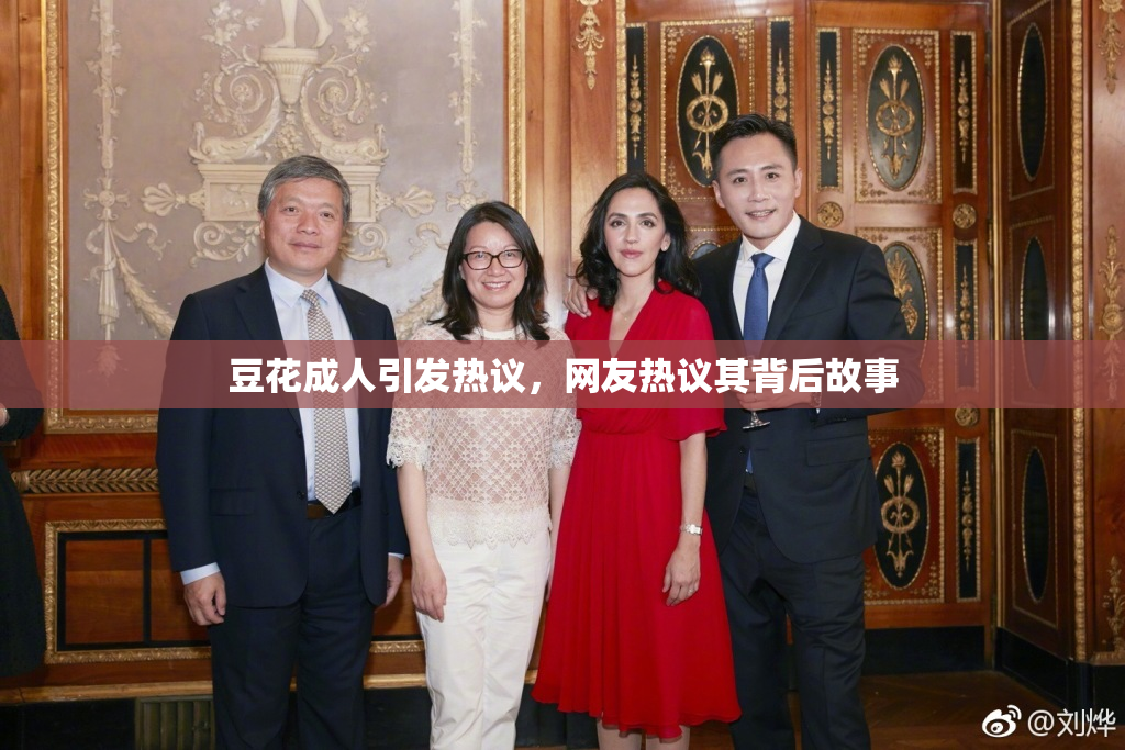 豆花成人引发热议，网友热议其背后故事