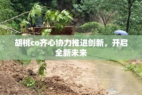胡桃co齐心协力推进创新，开启全新未来