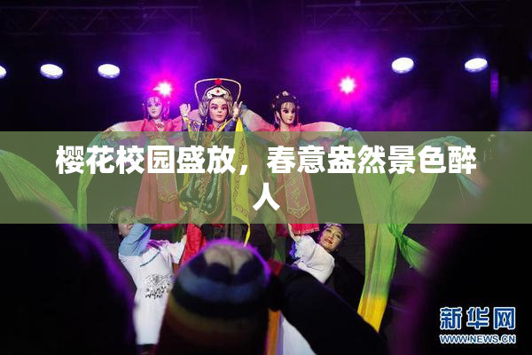 樱花校园盛放，春意盎然景色醉人