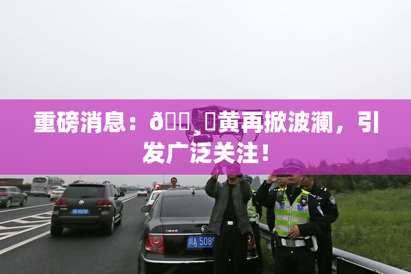 重磅消息：🌸‌黄再掀波澜，引发广泛关注！