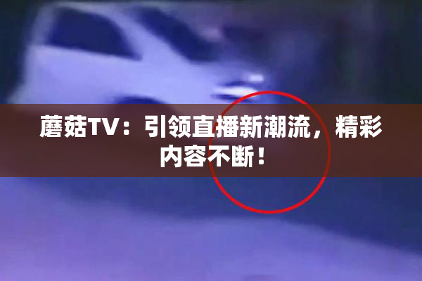 蘑菇TV：引领直播新潮流，精彩内容不断！